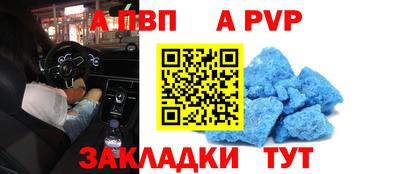 кокс Кингисепп